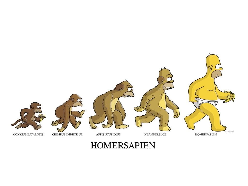 Homer Simpson Evolution